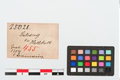 Etiketten zu Gagatringperle (NHMW-PRAE-025028)